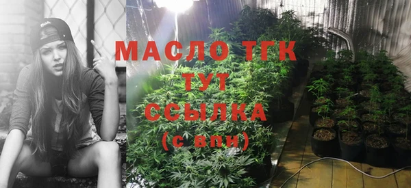 2c-b Горно-Алтайск